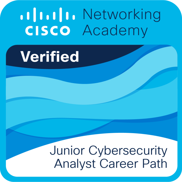 Junior Cibersecurity Analyst Career Path